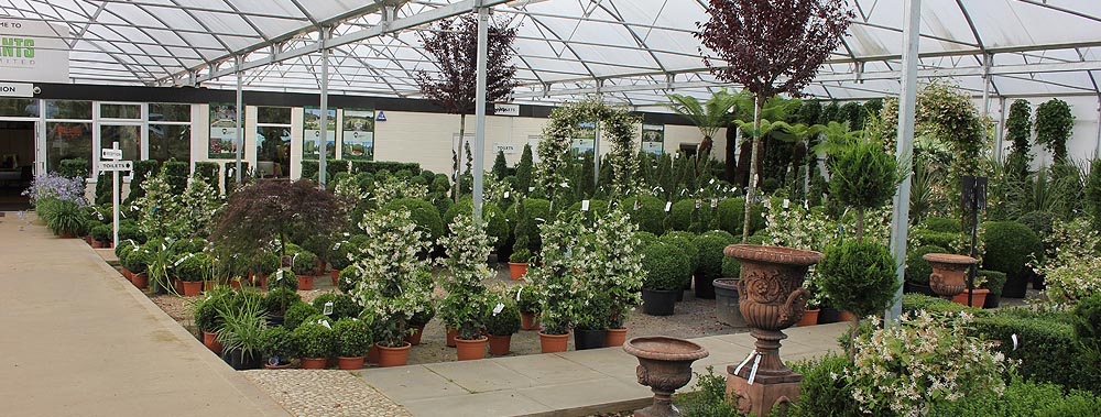 Europlants UK Ltd
