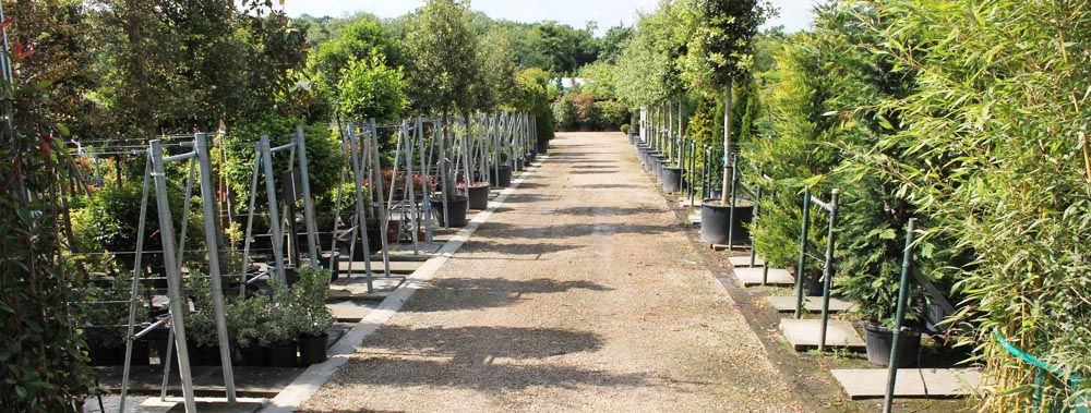 Europlants UK Ltd
