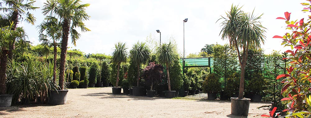 Europlants UK Ltd