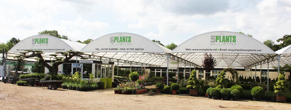 Europlants UK Ltd