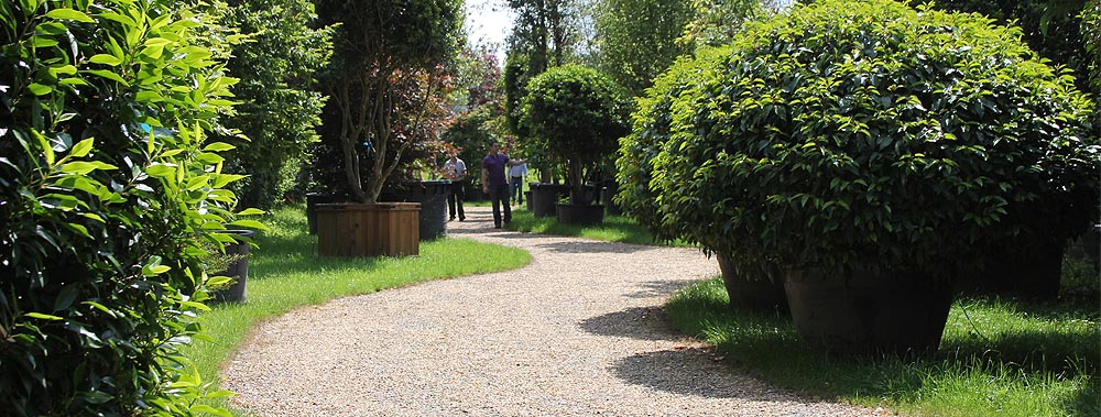 Europlants UK Ltd