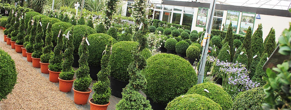 Europlants UK Ltd