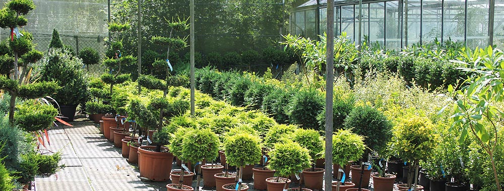 Europlants UK Ltd