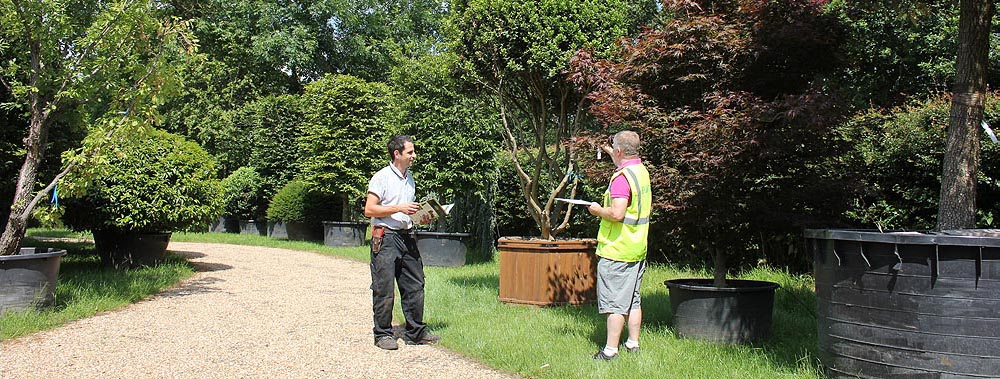 Europlants UK Ltd