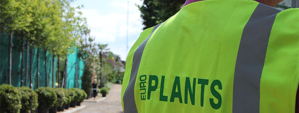 Europlants UK Ltd